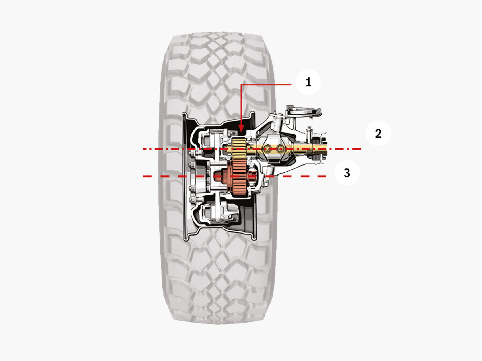 Cross-section of a wheel hub with tyre showing internal, mechanical components.